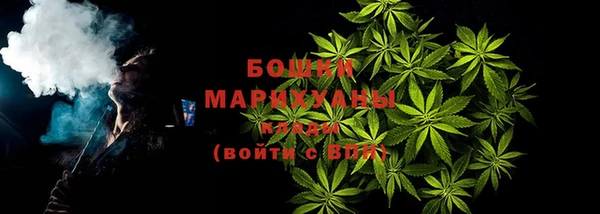 дурь Шадринск