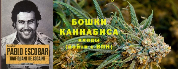 дурь Шадринск