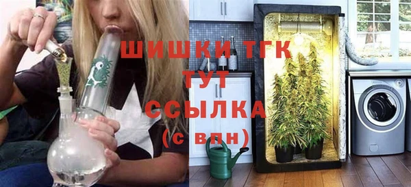 дурь Шадринск