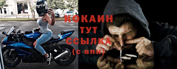 шишки Чердынь