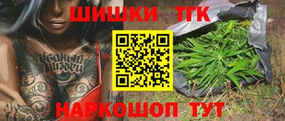 трава Гатчина