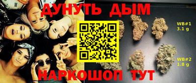 трава Гатчина
