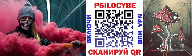 Галлюциногенные грибы Psilocybine cubensis  Новочебоксарск 