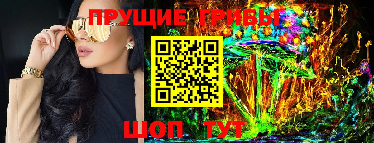 Псилоцибиновые грибы Cubensis Новочебоксарск