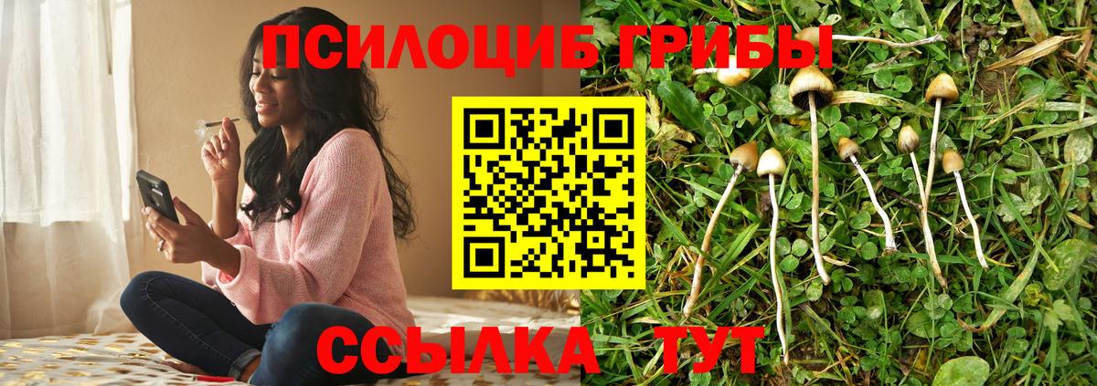 Новочебоксарск  Псилоцибиновые грибы MAGIC MUSHROOMS  Галлюциногенные грибы Psilocybe  Вход с VPN 