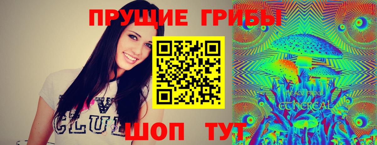 Псилоцибиновые грибы MAGIC MUSHROOMS Новочебоксарск